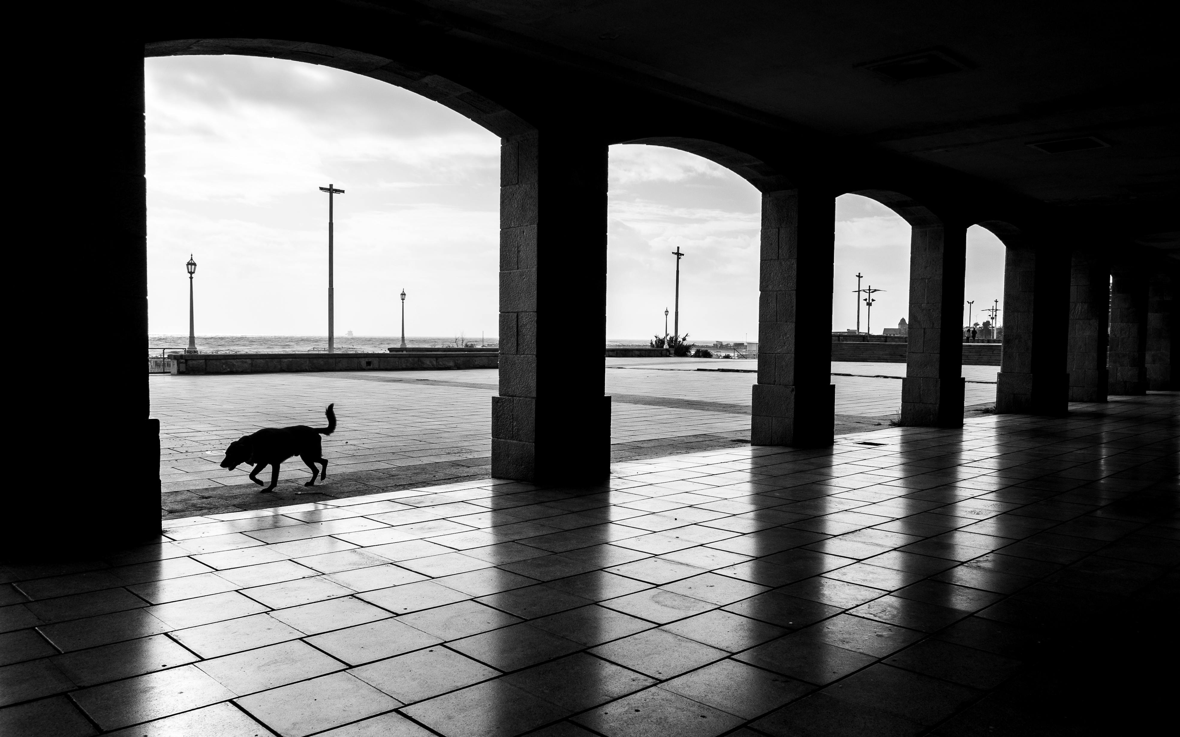 243.456+ Fotos y Imágenes de Fotos+de+gordas+desnudas Gratis · Banco de Fotos Gratis