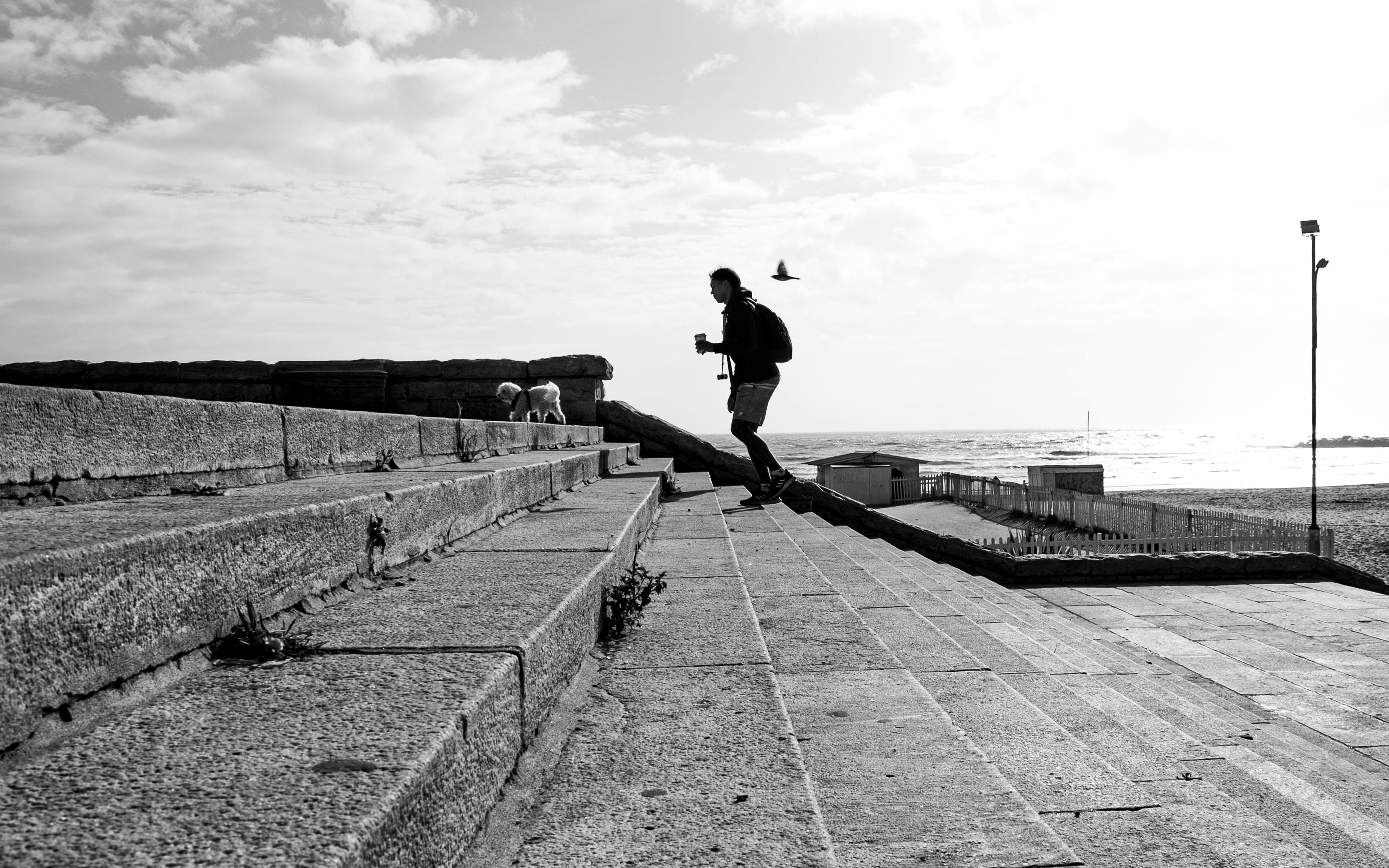 Monochrome image of a person walking on steps by the beach in Mar del Plata, Argentina.
