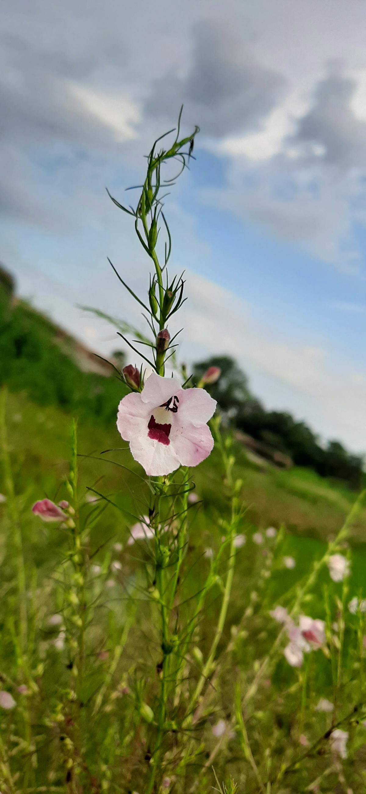 Cover image for Accountability Quotes That Appear After Failure: Why Organizations Reach for Rhetoric When Systems Break