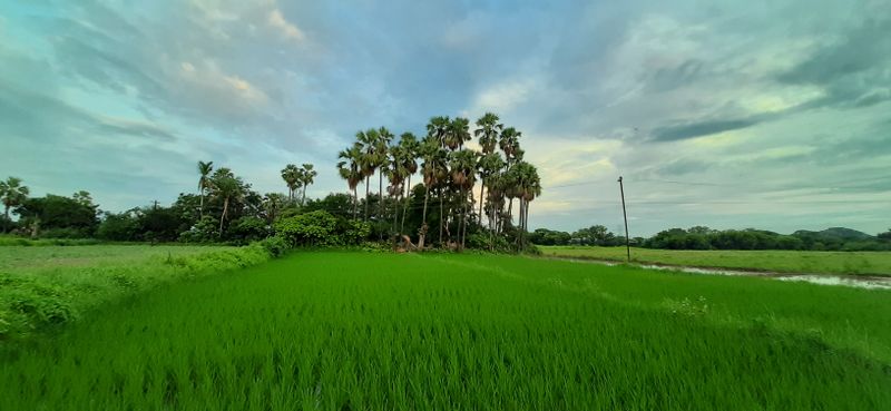 digital marketing agency Kasaragod Bekal Fort beach tourism cashew areca Kerala