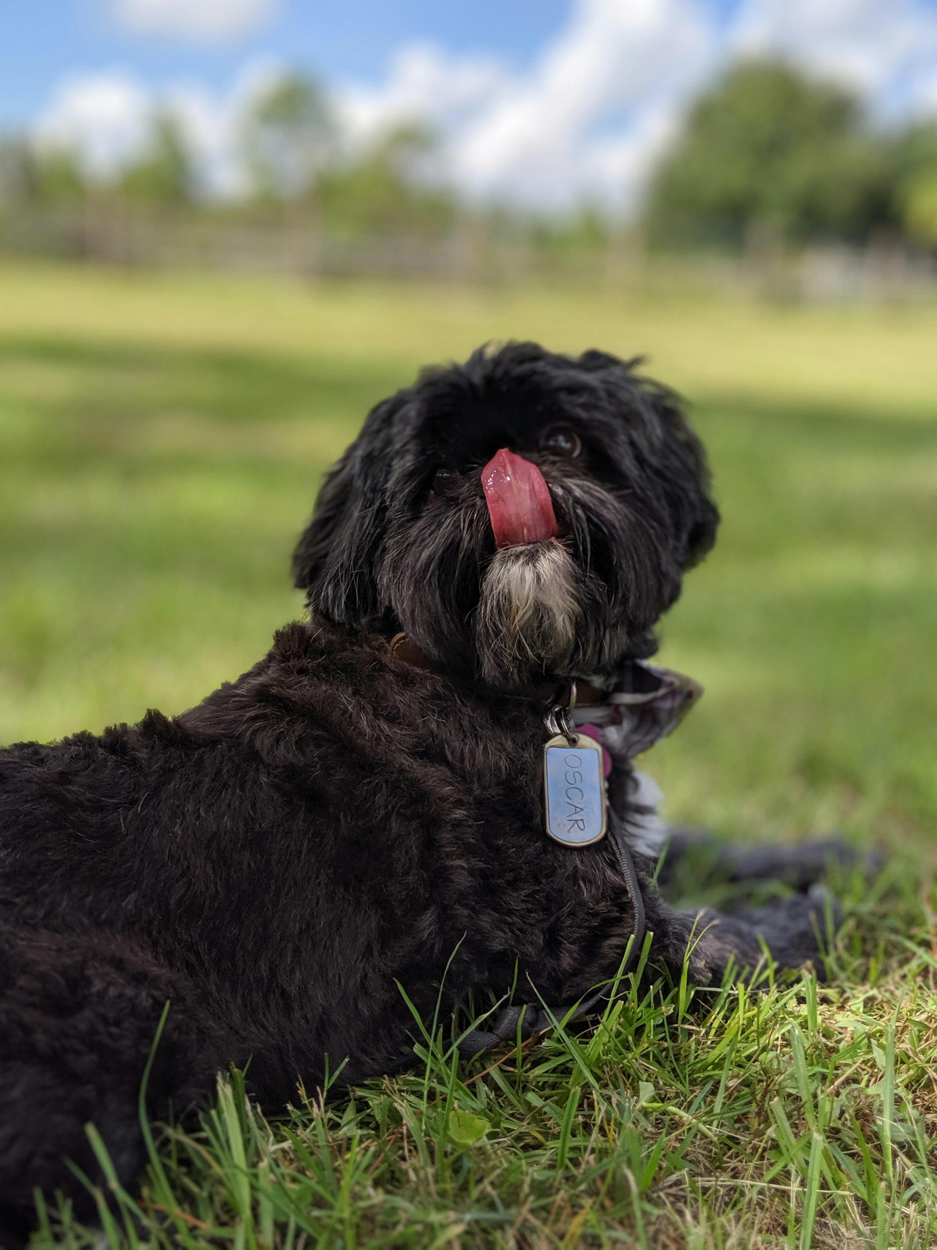 Review and acceptance