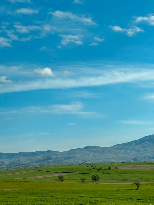 Free Expansive green fields under a clear blue sky with distant rolling hills. Stock Photo