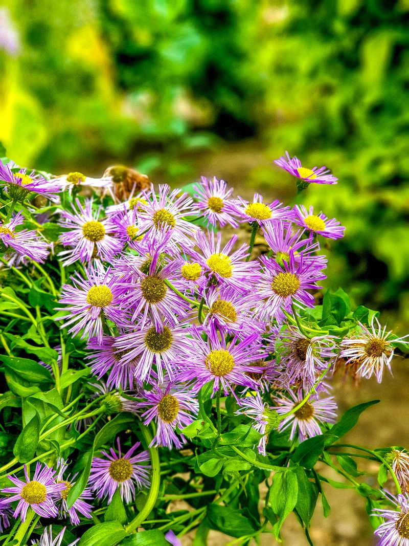 Finance Manager at Nepal Telecom in Kathmandu, Nepal – 10+ years, telecom, reporting