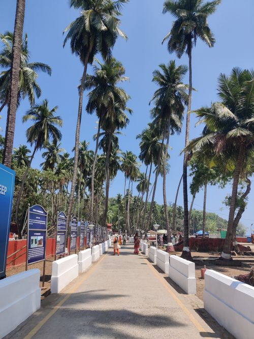 Free A picturesque outdoor pathway in India lined with towering palm trees under a clear blue sky. Stock Photo