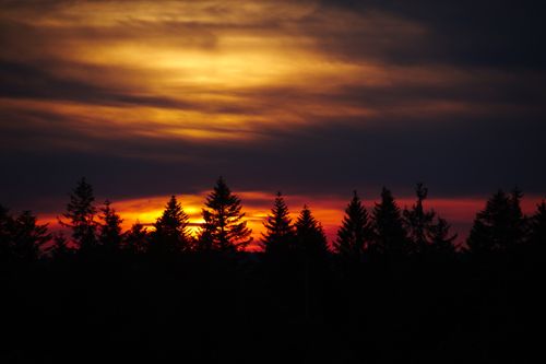 Free Breathtaking sunset with vibrant colors over a silhouetted forest. Stock Photo