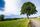summer landscape