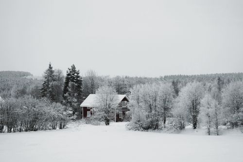 Free Rustic house surrounded by snow-covered trees in Finland's winter landscape. Stock Photo