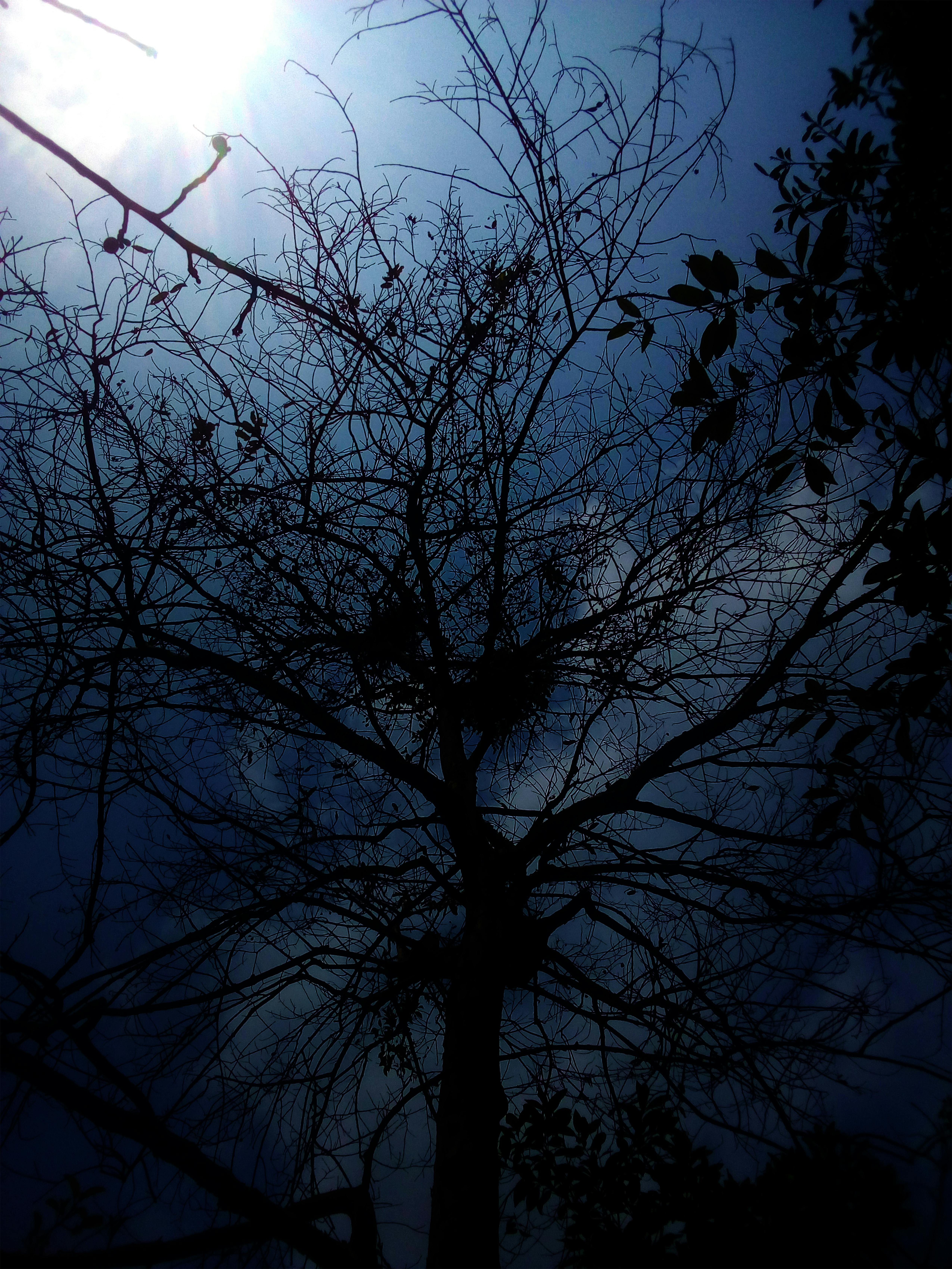 Circular Hardware Pilot Banks