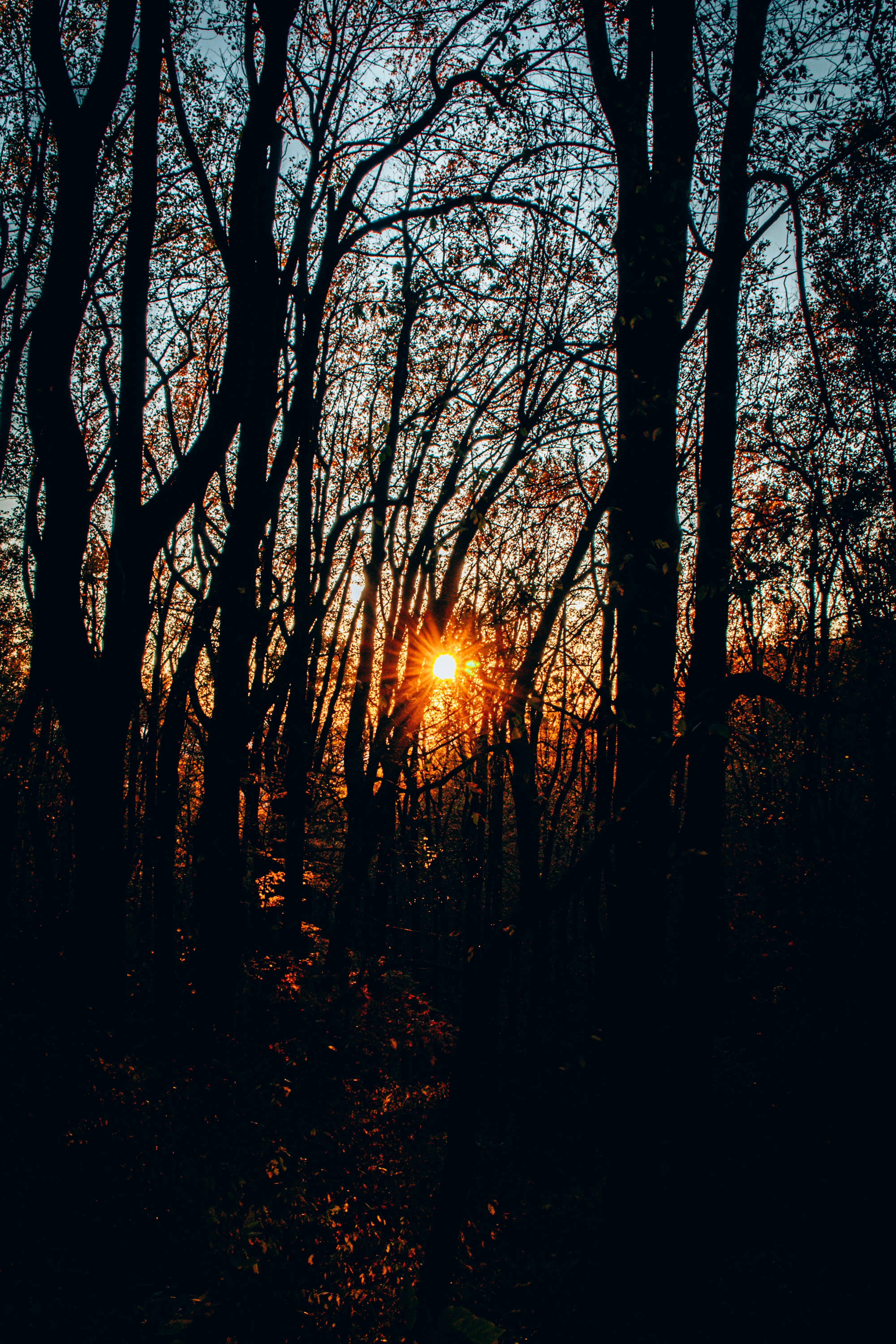 Proyecto Startup Tech