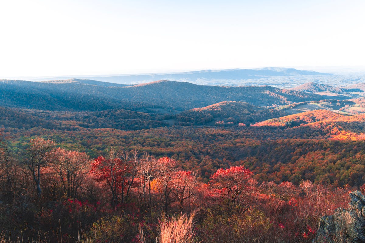 Player booking a padel session on a tablet