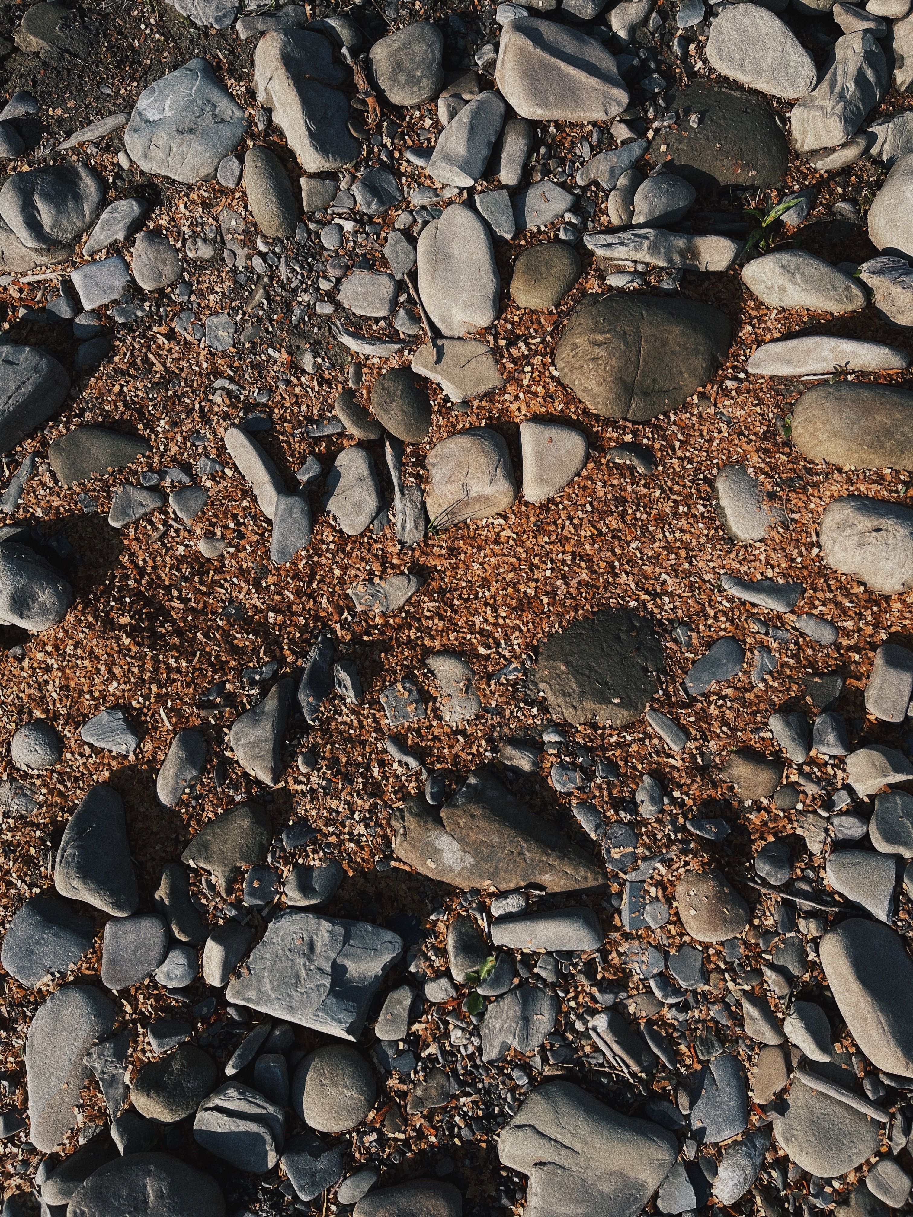 Lecho De Río Texturizado Con Piedras Lisas Y Guijarros · Foto de stock ...