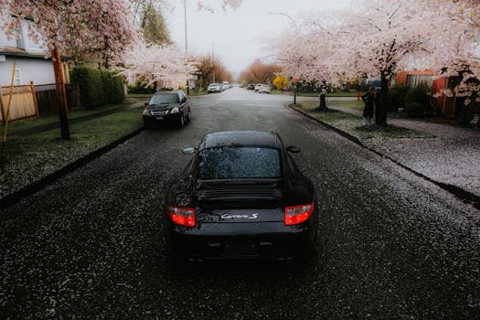 A sleek black car driving down a cherry blossom-lined street creating a picturesque spring scene.