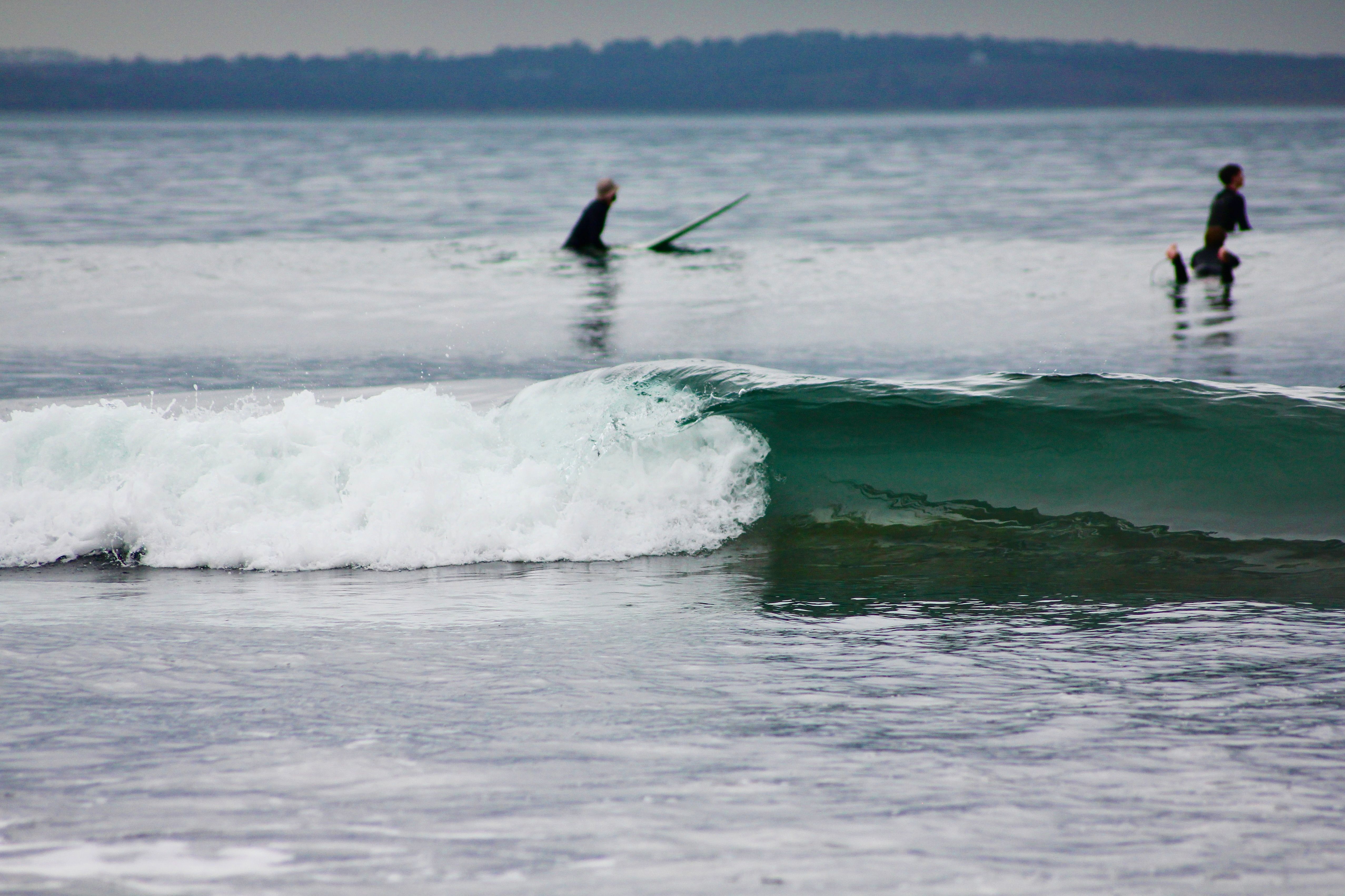 Surfing Adventure on Ocean Waves · Free Stock Photo
