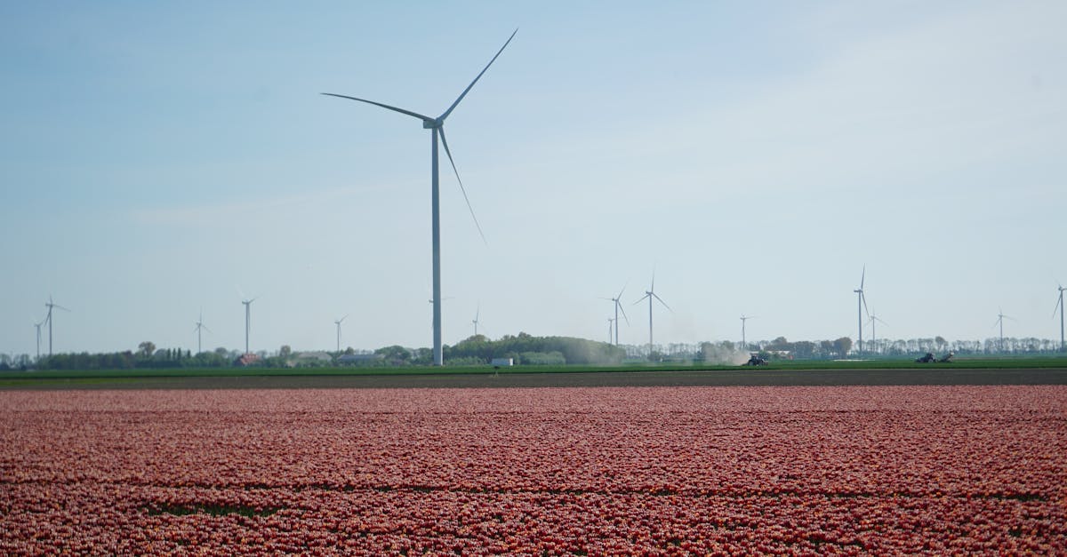 環境部攜手淨零綠生活大聯盟,會員持續招募中!