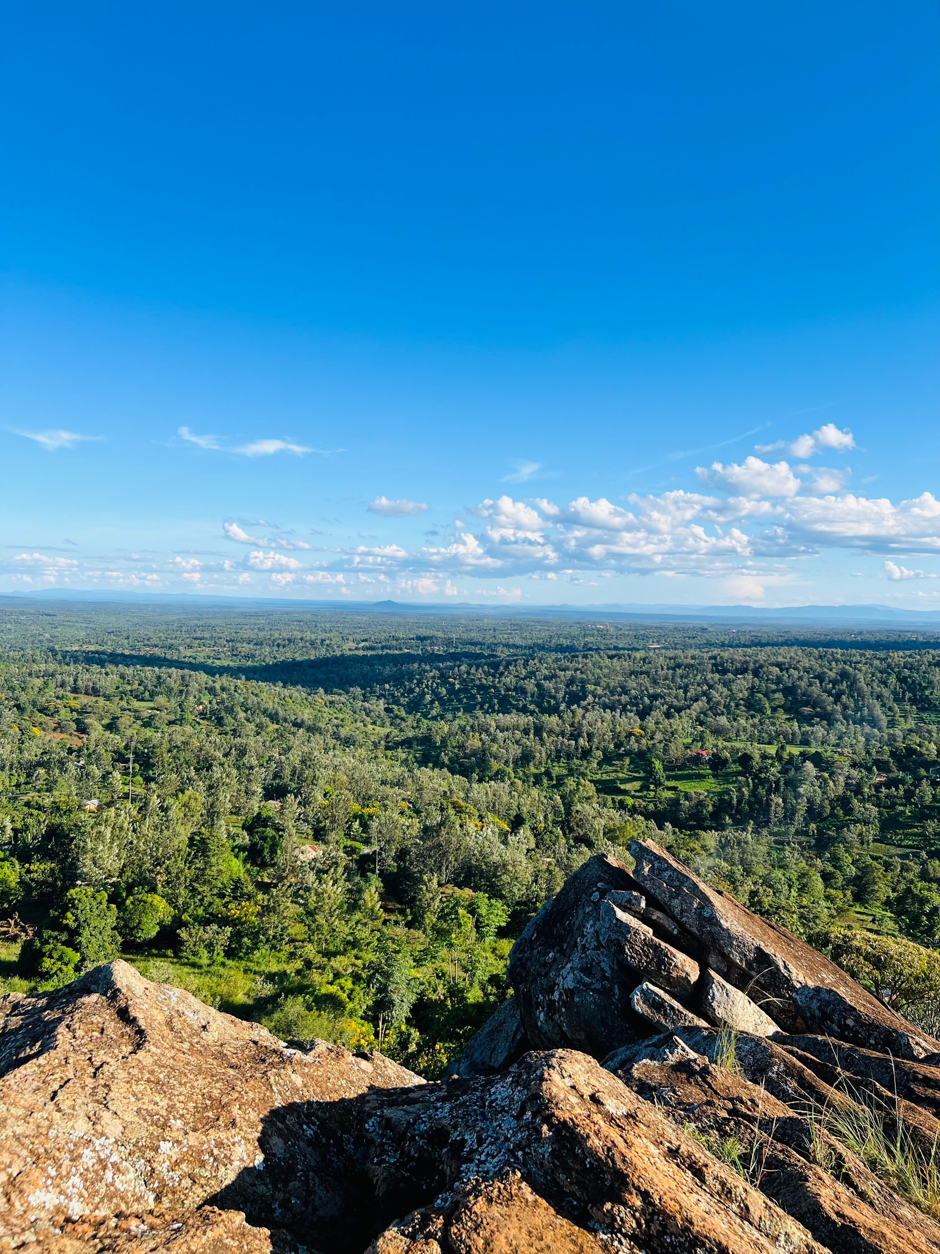 A breathtaking aerial view of a lush green landscape with a clear blue sky. Ideal for nature and travel themes.