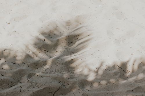 Free Palm leaf shadows cast subtly on sand at Porto Seguro beach, Brazil. Stock Photo