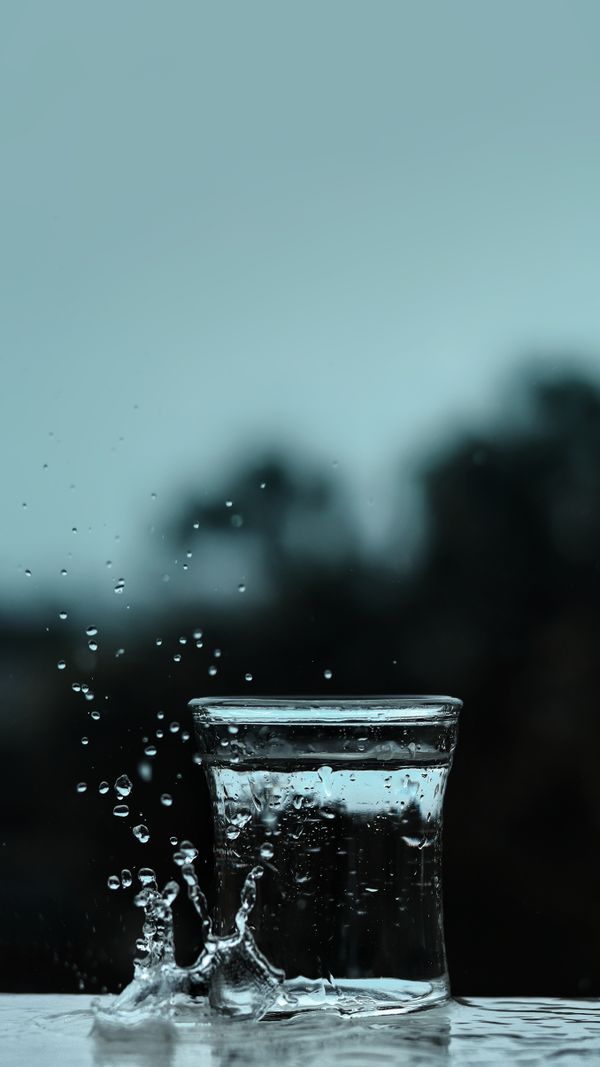 pexels photo 3184866