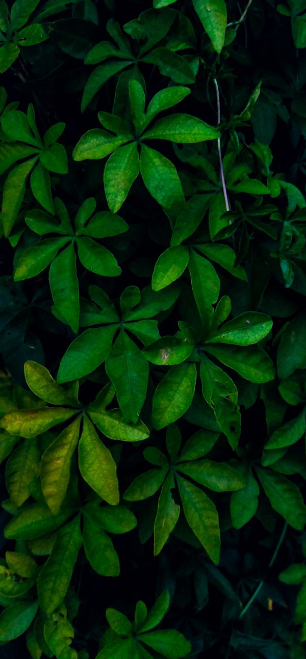 How to Find a Profitable Business for Sale in Perivale 2 pexels photo 3184903