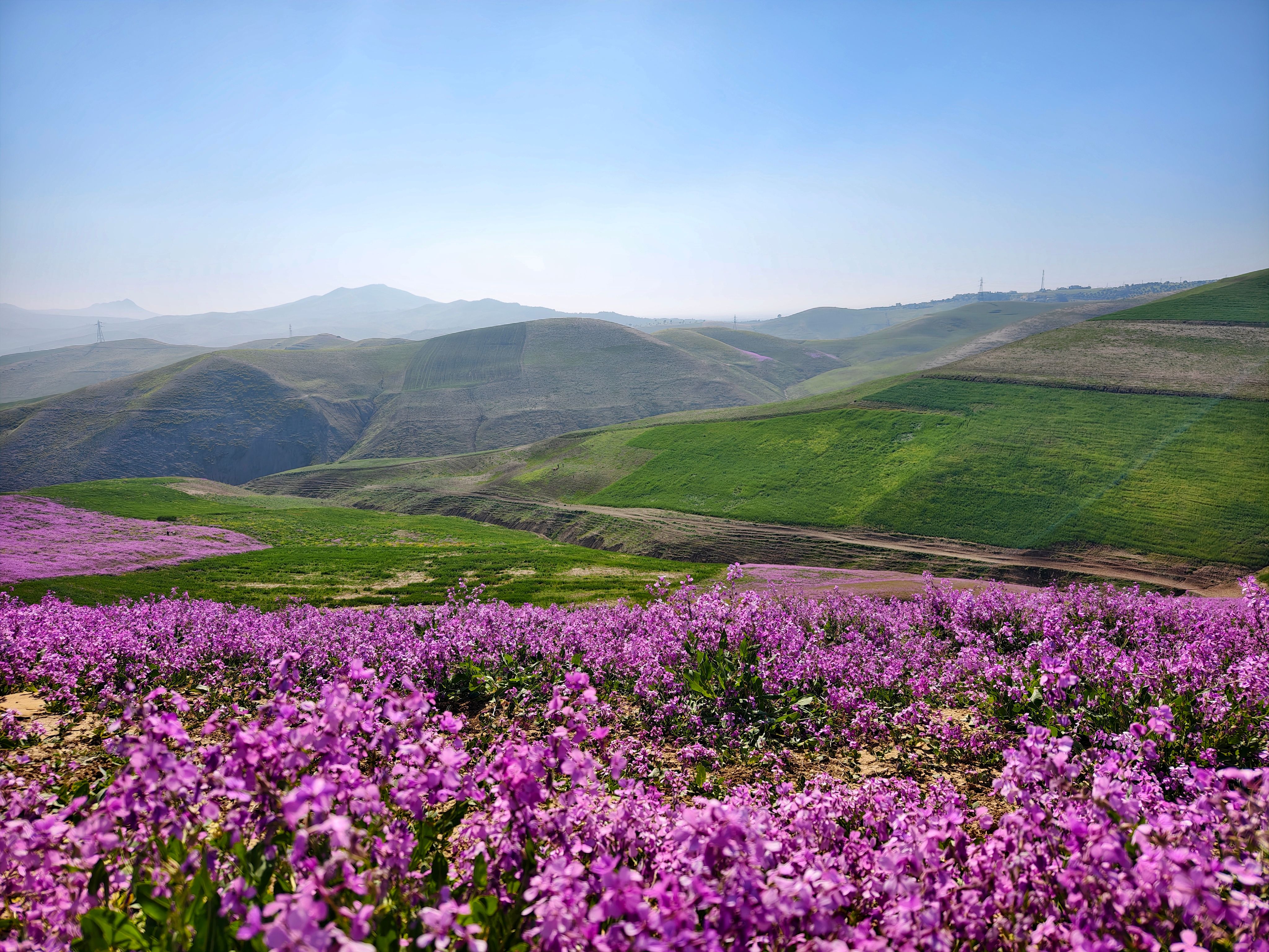 Beautiful Spring Landscape in Fes, Morocco · Free Stock Photo