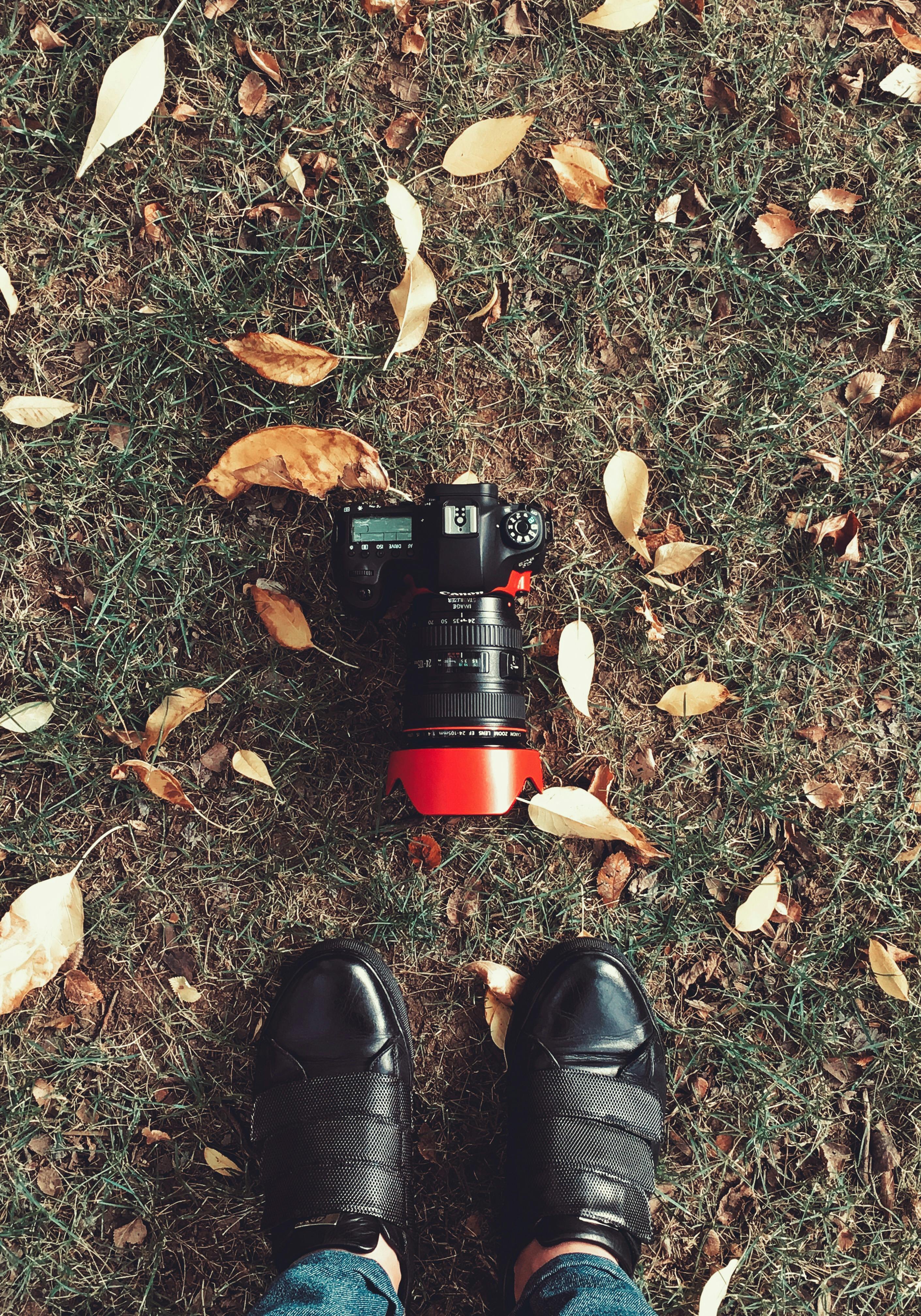 basket adidas superstar fille