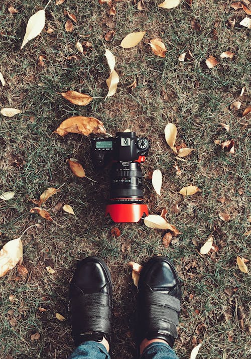 бесплатная черно красная цифровая зеркальная камера Стоковое фото