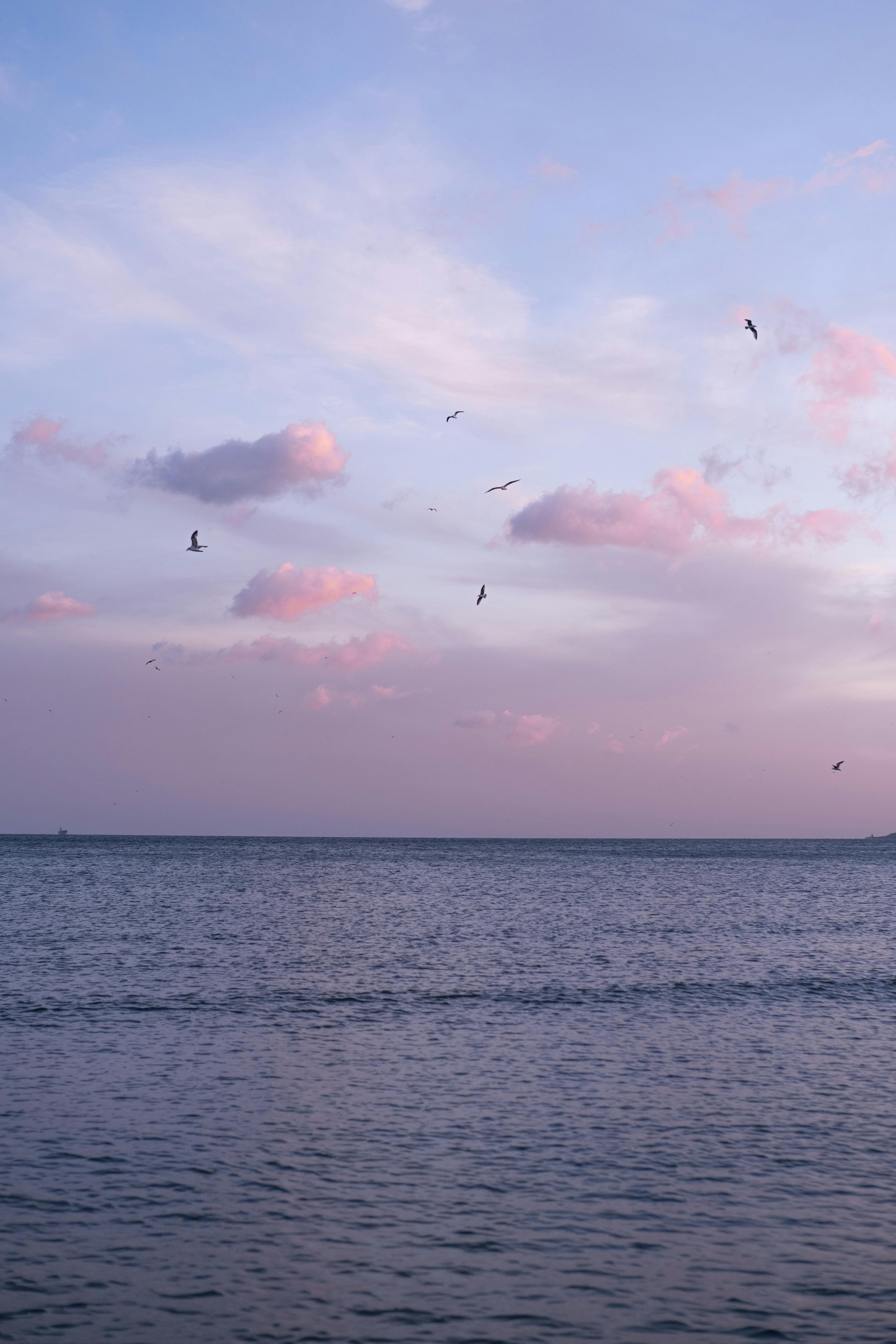 A tranquil view of the Bosphorus at sunset with pink clouds and seagulls in Istanbul.