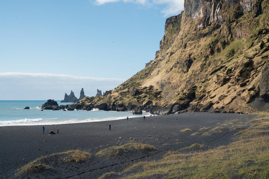 Scenic Black Sand Beach with Basalt Columns in Iceland · Free Stock Photo