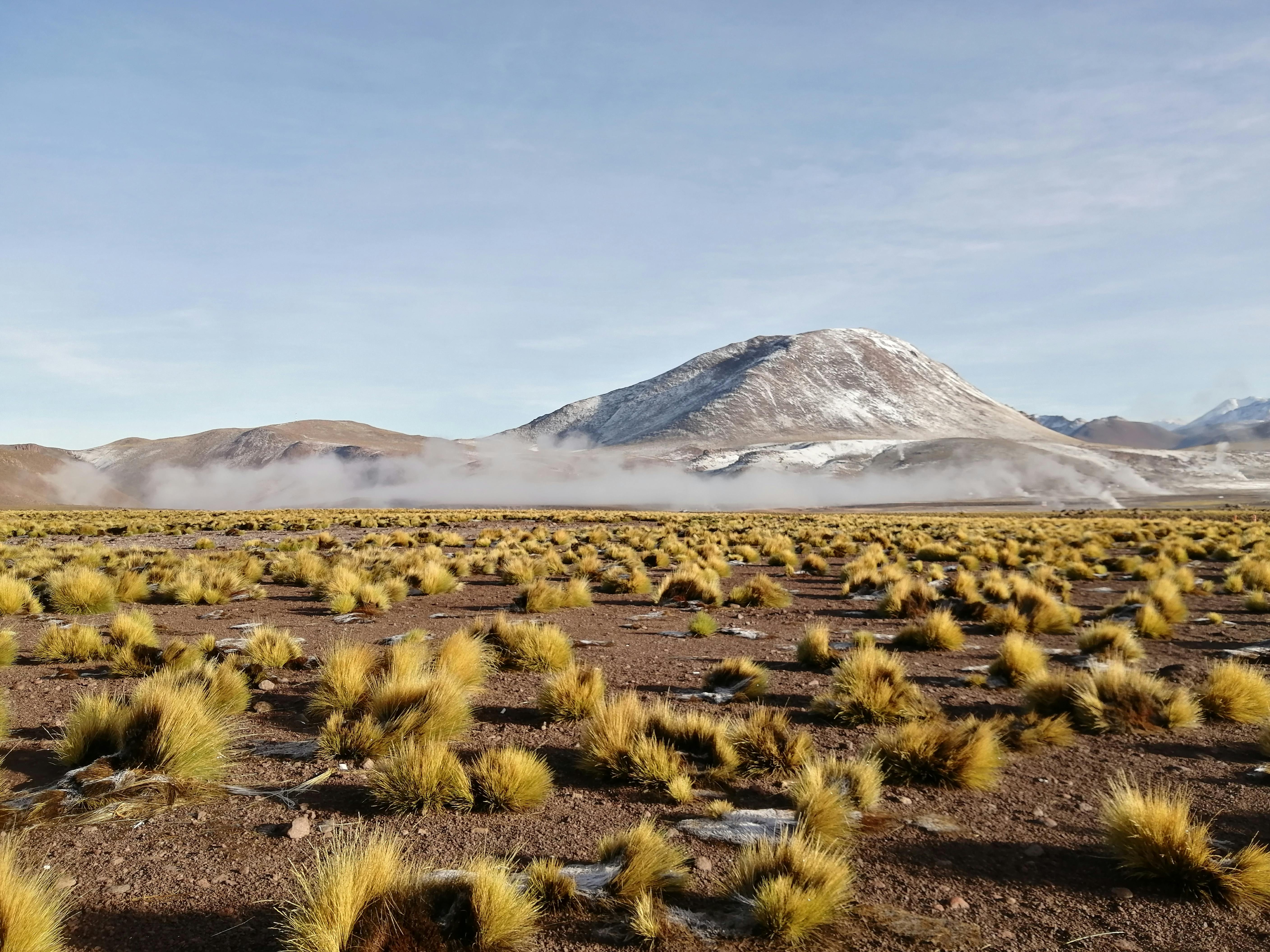Expansive Altiplano plateau with snow-capped mountain, dry grass, clear sky in Chile's Atacama Desert.