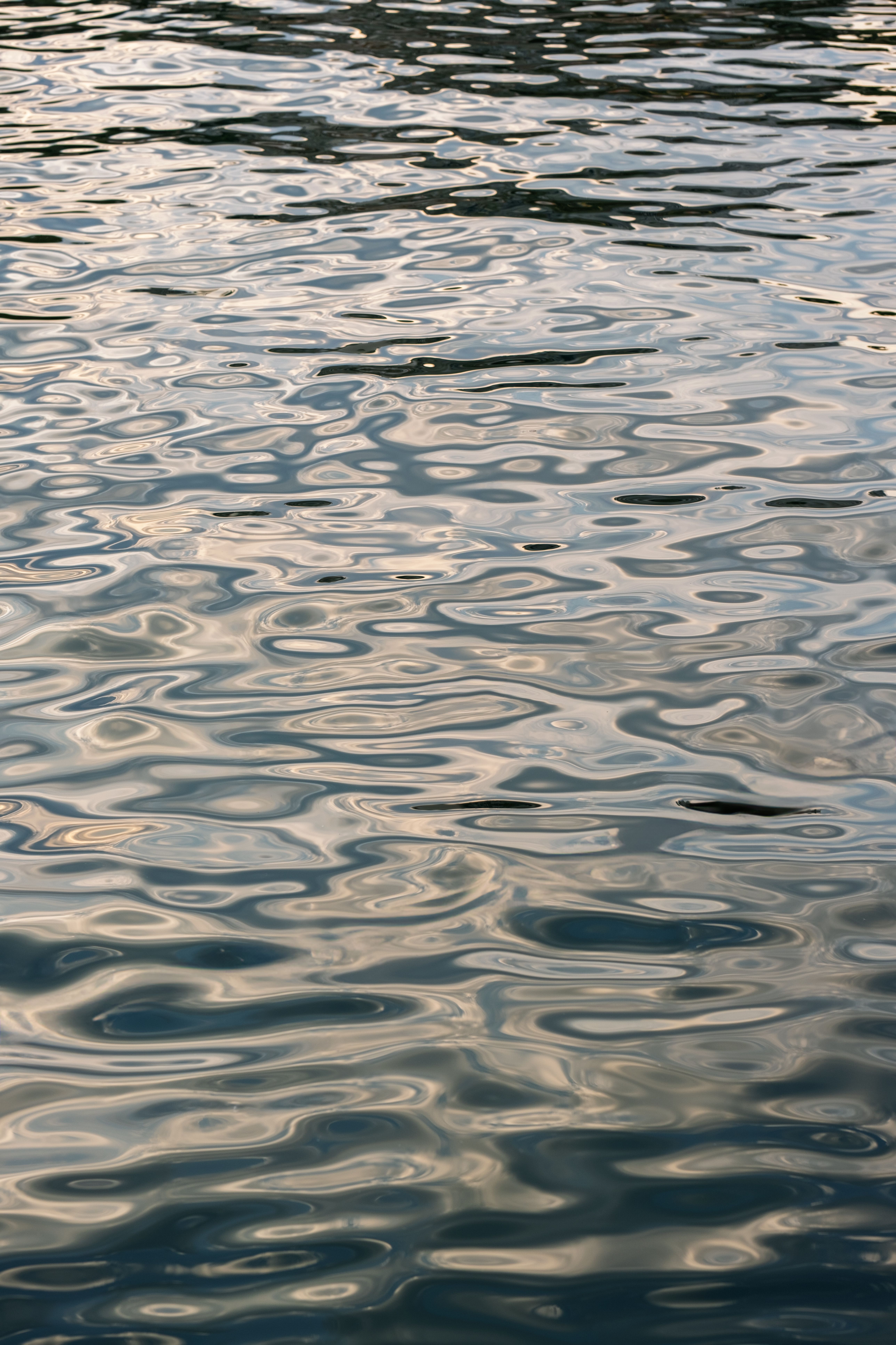 Tranquil Water Surface with Reflective Ripples · Free Stock Photo