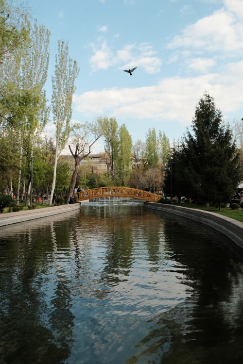 Free Peaceful park scene with a wooden bridge over a stream and a bird flying overhead. Stock Photo