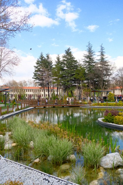 Free A tranquil park scene with a pond, trees, and people enjoying a sunny day. Stock Photo
