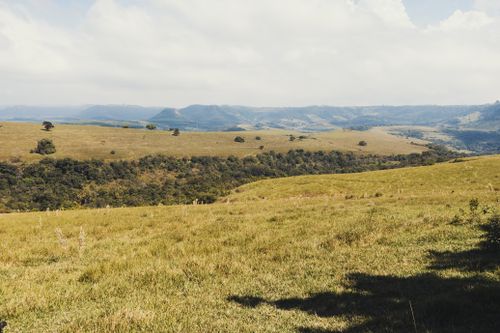 Free Breathtaking view of expansive grassy hills under a clear summer sky. Stock Photo