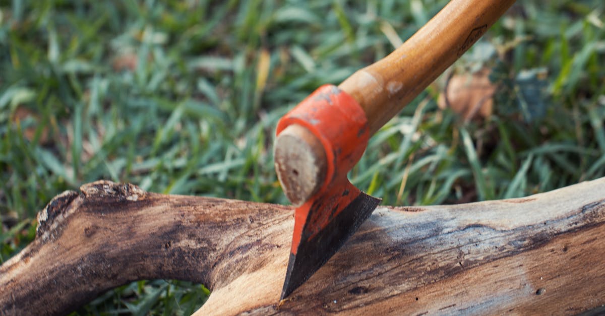 連胡會20週年|林伯豐談台商面臨的地緣政治挑戰