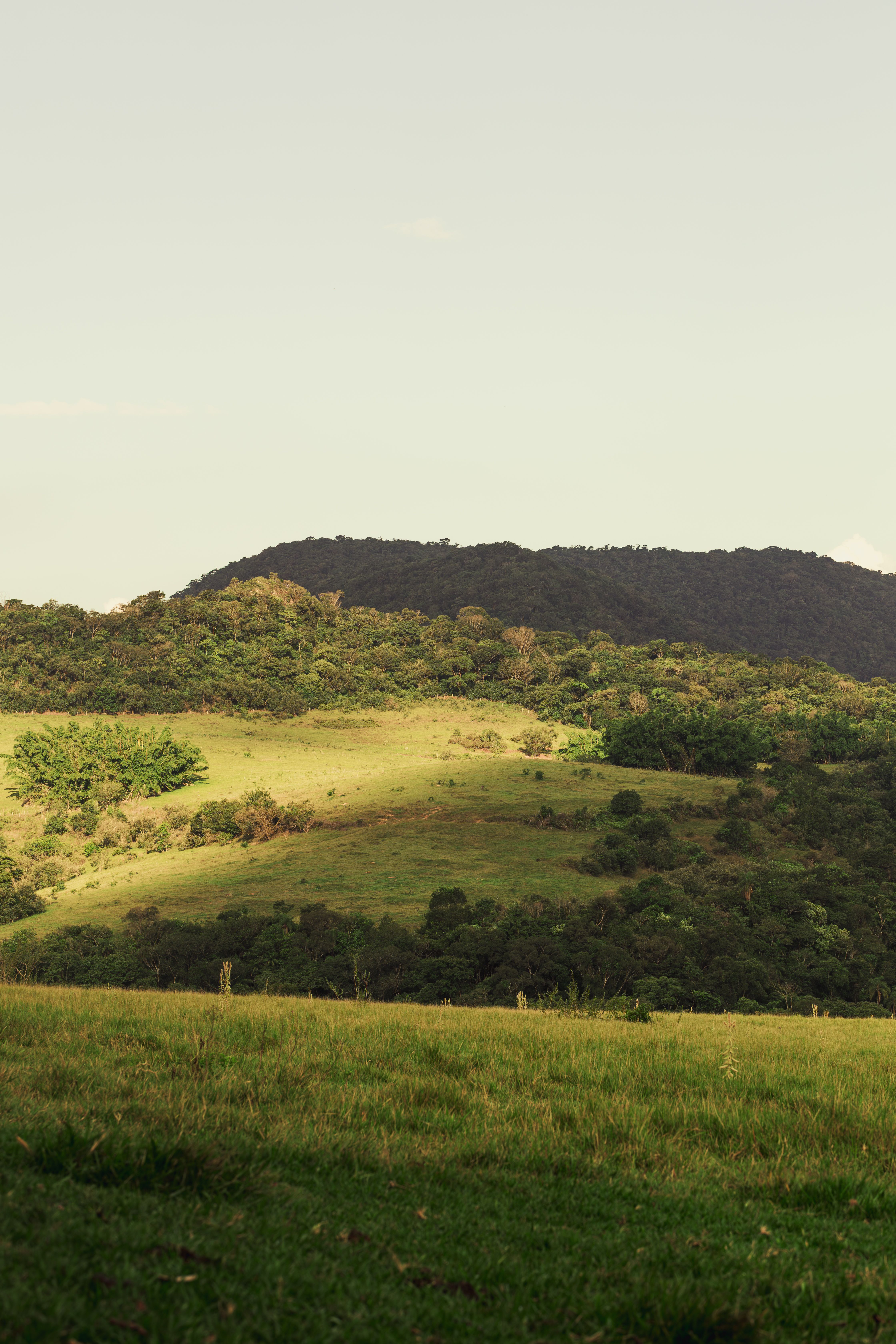 Serene Landscape with Sunlit Rolling Hills · Free Stock Photo
