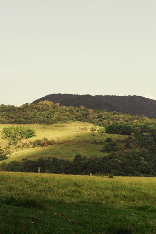 Free Beautiful rolling hills with lush greenery under the golden sunlight, a serene nature scene. Stock Photo
