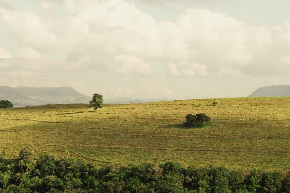 Visa d'affaires Gabon — Guide Complet 2026