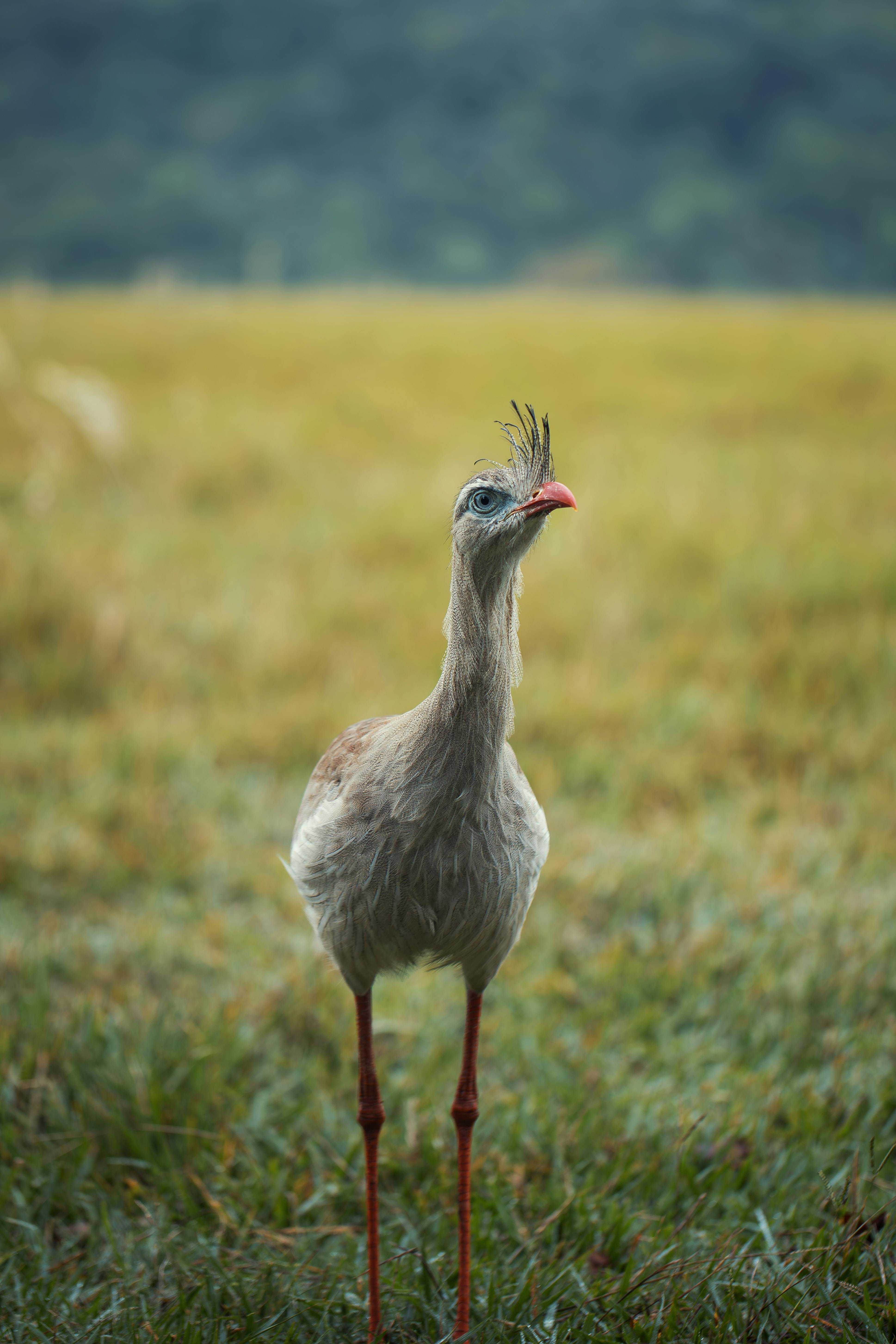 Jessica+Tarlov+Legs Photos, Download The BEST Free Jessica+Tarlov+Legs