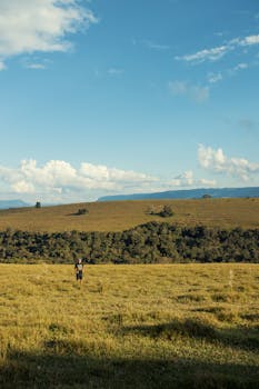 Single hiker walking through expansive countryside under clear blue skies.