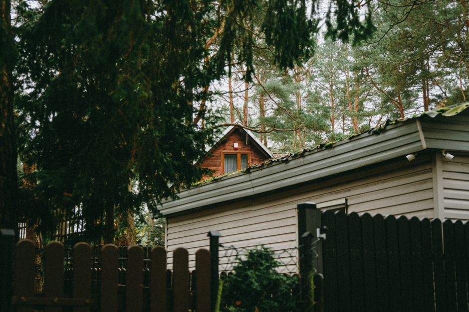 Quaint wooden house nestled in a tranquil Polish forest, surrounded by tall trees.