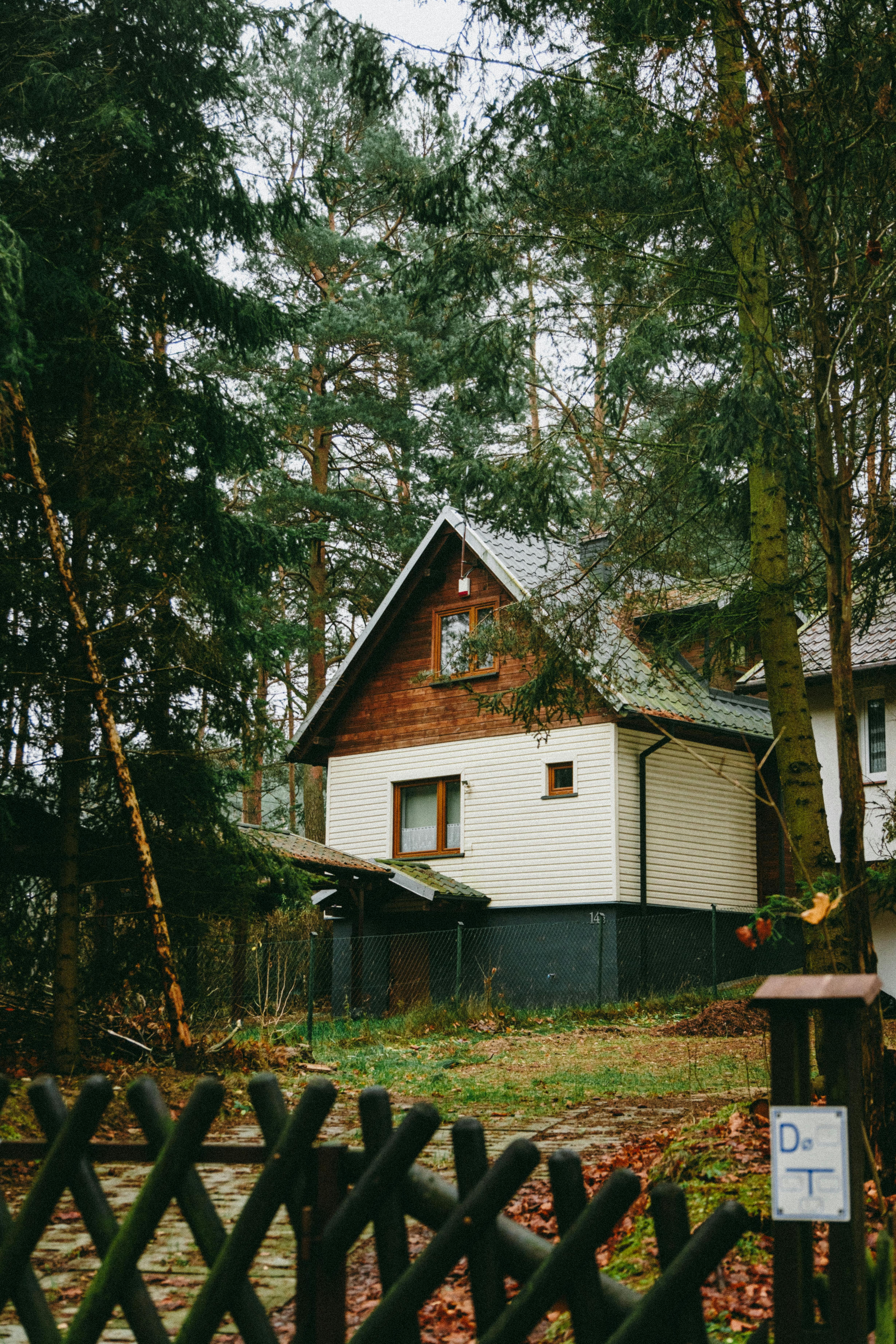 charming forest cabin in poland surrounded by trees