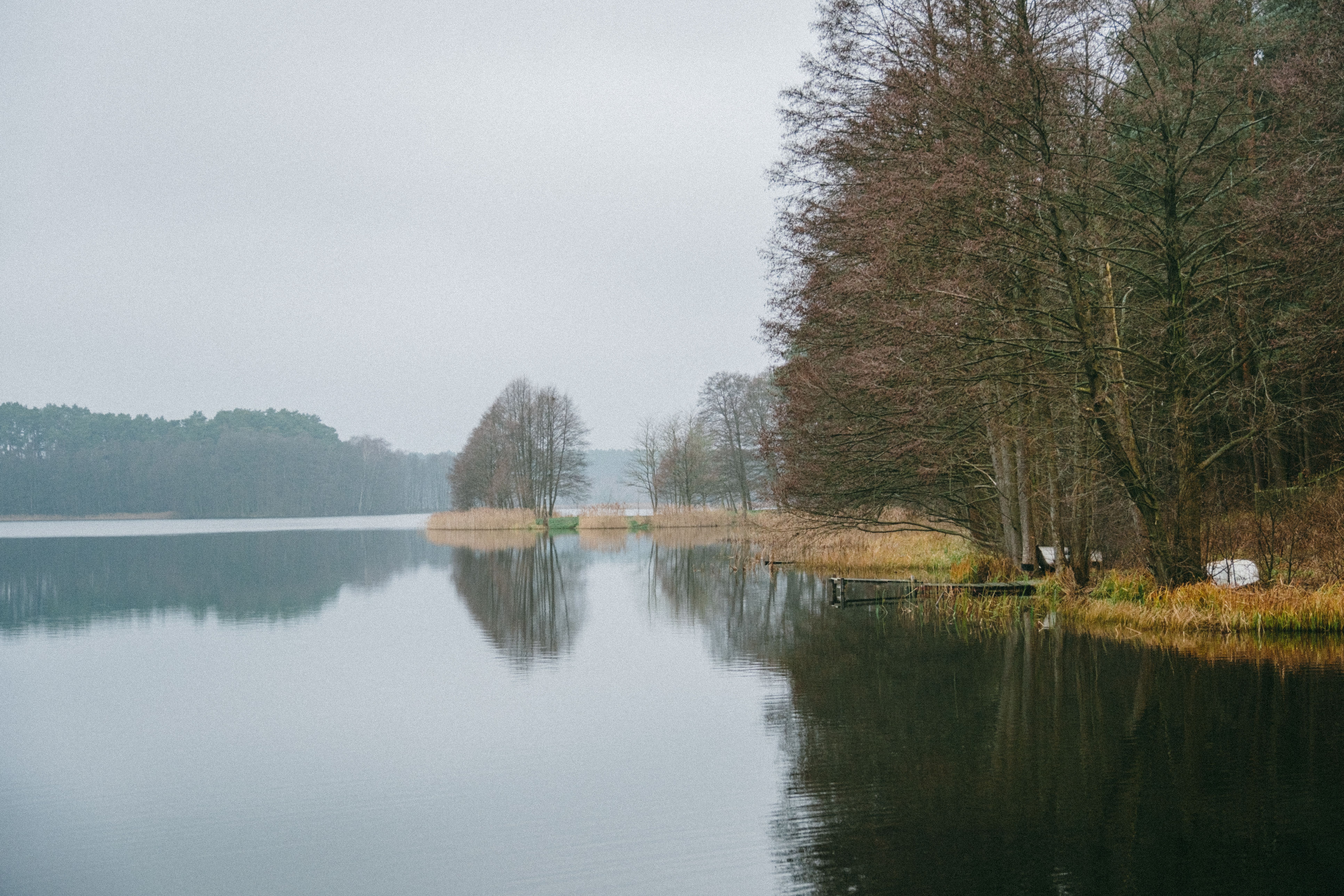 A tranquil winter scene of a lake with reflecting trees in Poland, capturing serene beauty.