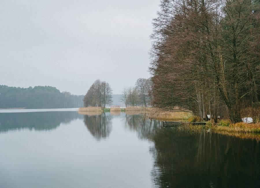 A tranquil winter scene of a lake with reflecting trees in Poland, capturing serene beauty.