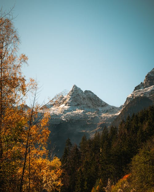 Gratis lagerfoto af alperne, bjerge, bjergtoppe Lagerfoto