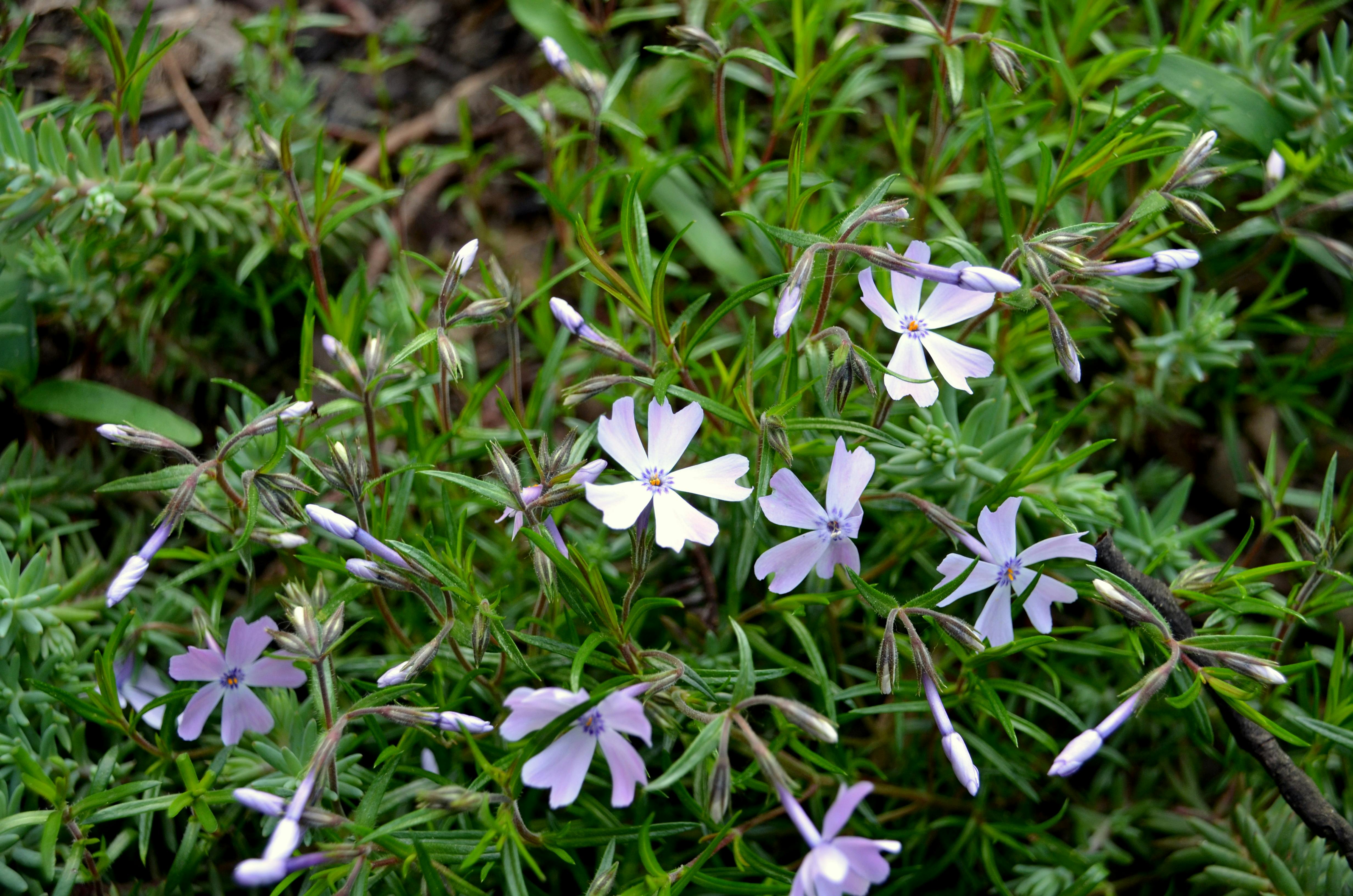 Land Receipt Photos, Download The BEST Free Land Receipt Stock Photos ...