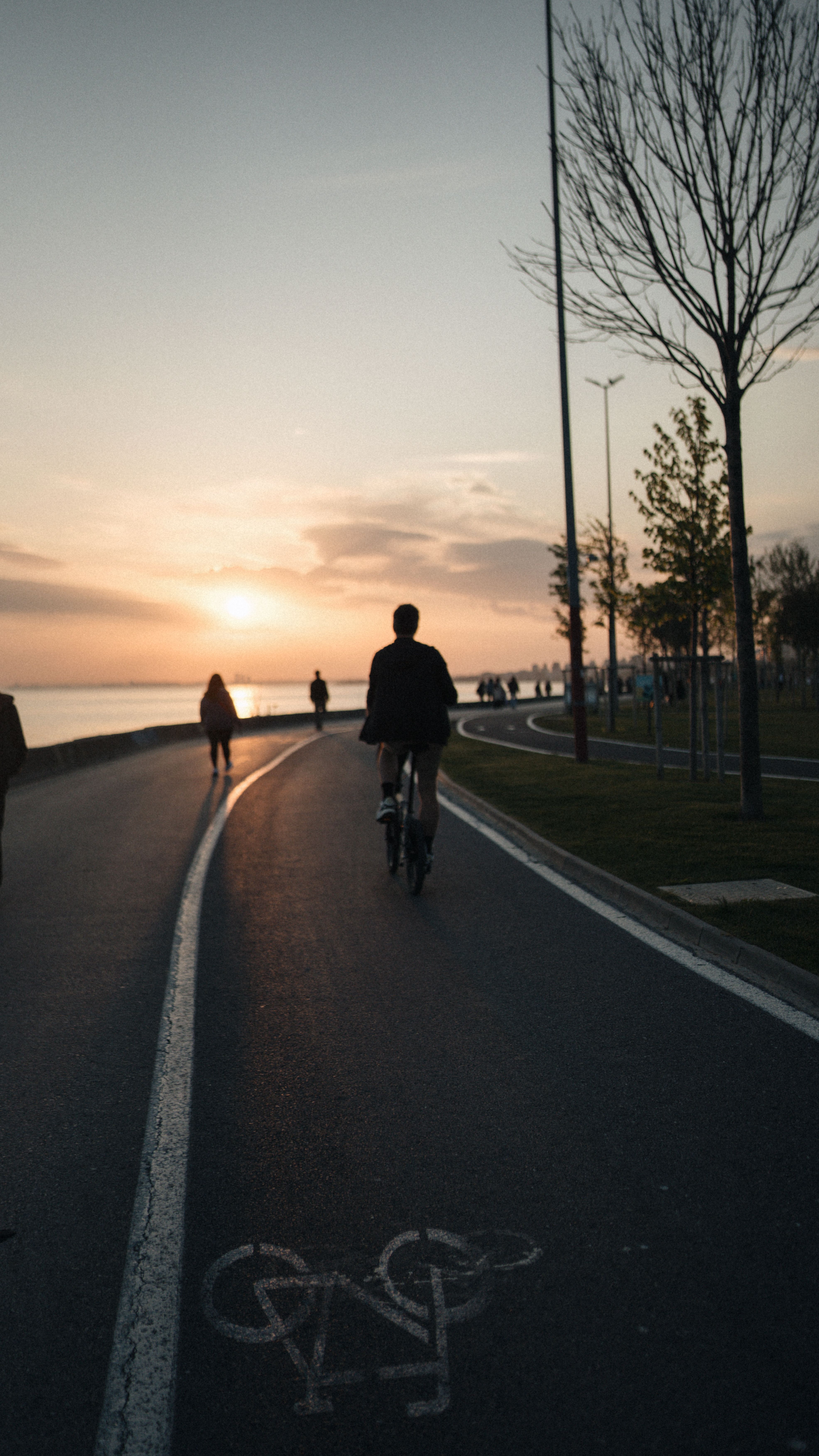 Scenic Sunset Bike Ride Along a Waterfront · Free Stock Photo