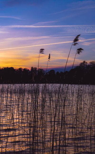 Sunset over reed beds and open water by Damir K. on Pexels