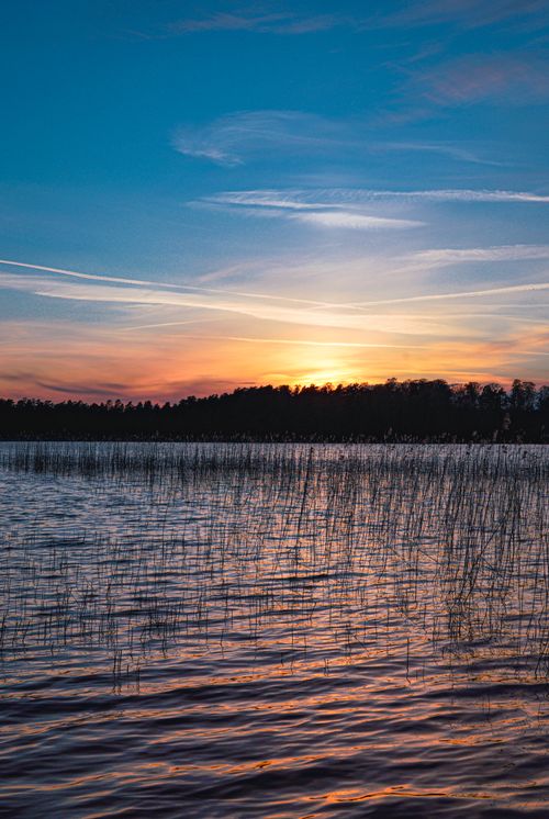 Free A peaceful sunset over a calm lake with gentle ripples and reeds, showcasing vibrant colors and a serene atmosphere. Stock Photo