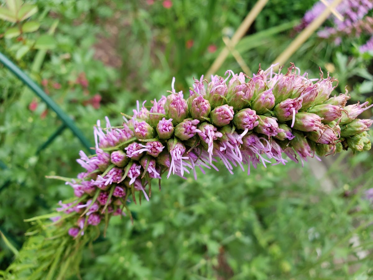 A cozy breakfast scene with a latte, granola, and fruit on a rustic table