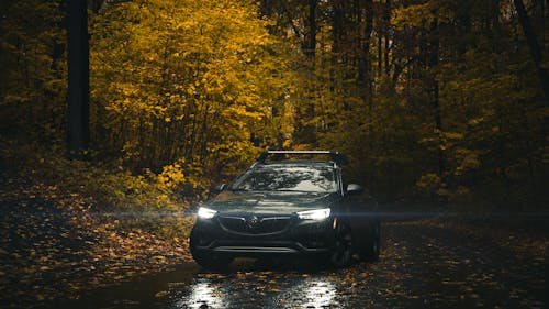 Black Car on Road Near Forest