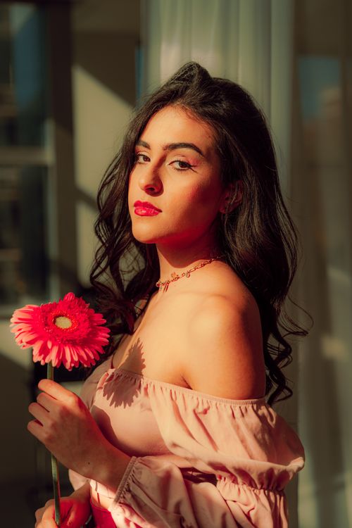 Free A beautifully lit portrait of a woman holding a pink daisy in soft sunlight, showcasing elegance and grace. Stock Photo